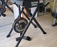 Rogue Westside Barbell Scout (Fold up) Reverse Hyperextension