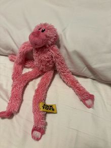 Teddy