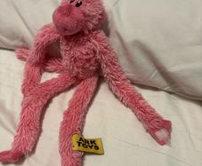 Teddy