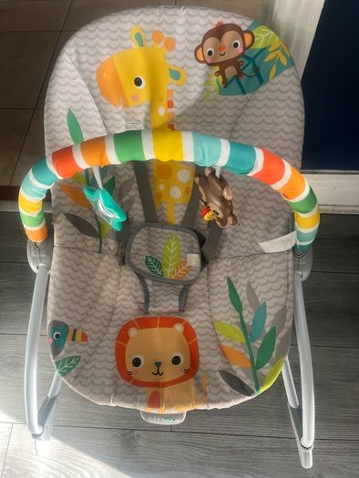 Baby Rocker
