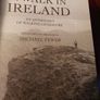 Michael Fewer/ A Walk in Ireland/ 2001/ 1st ed. Image 4