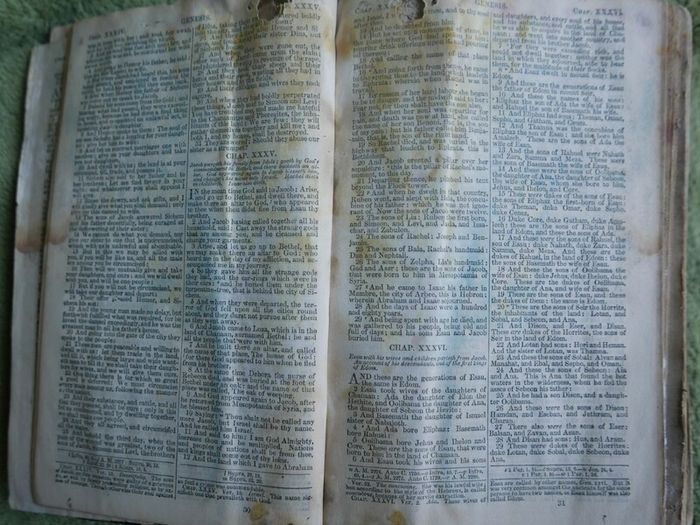 The Ave Maria A Magazine Devoted to the Honor of the Blessed Virgin 1894 and the Bible