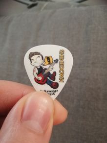 Shinedown Eric Bass Guitar Plectrum