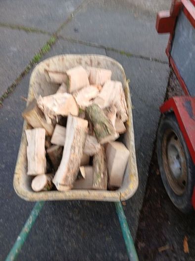 fire wood