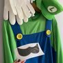 Luigi Costume Image 3