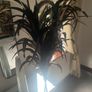Tall Feather Arrangement Image 5
