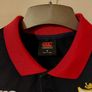 british and irish lions polo Image 3