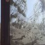 photographic plates from 1930s Image 8