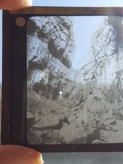 photographic plates from 1930s