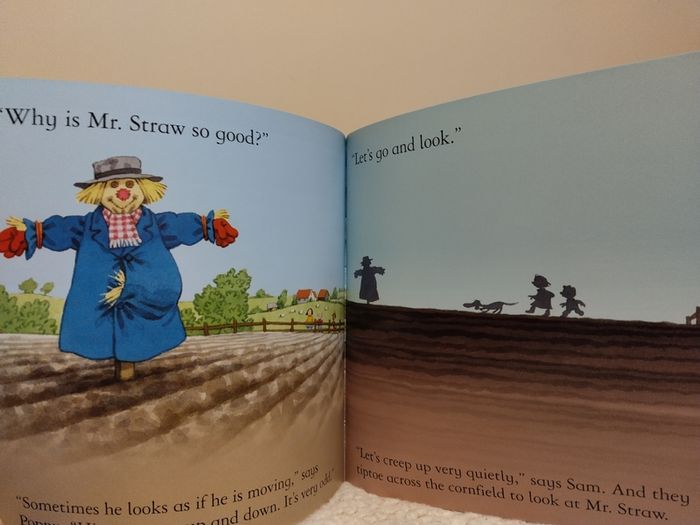Usborne Early Reader Story Books