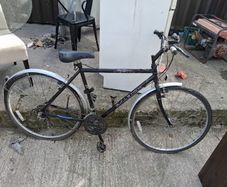Raleigh Pioneer