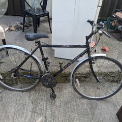 Raleigh Pioneer