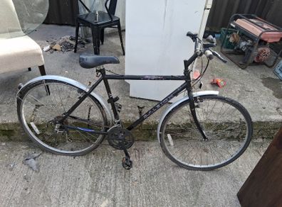 Raleigh Pioneer