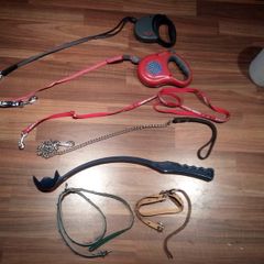 Dog Leads and Harnesses