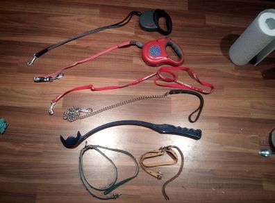 Dog Leads and Harnesses