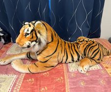 Tiger Plush Toy