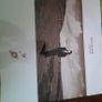 Tanita Tikaram - Ancient Heart -  vinyl LP 1988 Image 3