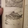 A Year's Turning. By Michael  Viney. Signed First Edition Hardback With Dustjacket In Very Good Condition. Image 10