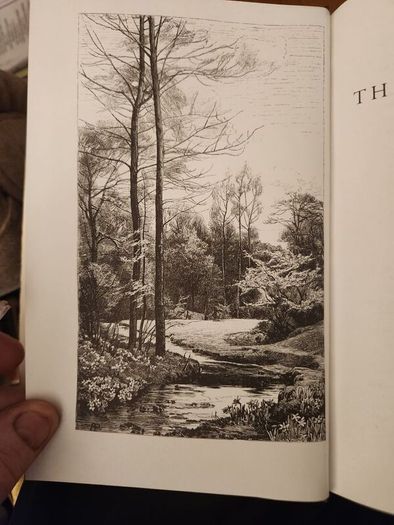 The Wild Garden. By William Robinson. Hardback With Dustjacket In Good Condition.