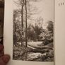 The Wild Garden. By William Robinson. Hardback With Dustjacket In Good Condition. Image 3