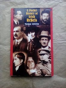 A Pocket History of Irish Rebels (postage included)