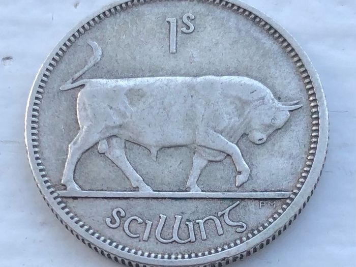Irish silver one shilling