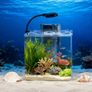 13L Starter Fish Tank Kit, 25  25  22CM Mini Plastic Aquarium with LED Light & USB Filter, DIY Aquascape for Small Betta Fish Image 8