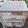 Bird  seed container Image 2