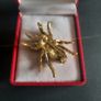 Tarantula Pink & White Sparkling Crystals Spider Brooch Shawl Pin Badge Image 7