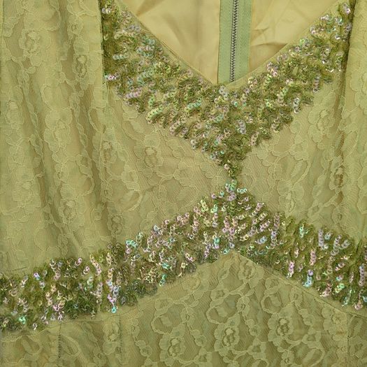 Vintage 50s lace dress