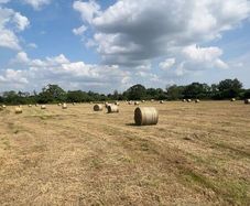 Round bales of Hay