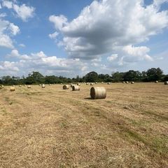 Round bales of Hay