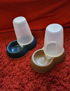 Dog bowl