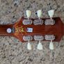 Epiphone Slash Victoria gold top Image 3