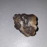 Kidney agate NWA. Image 3