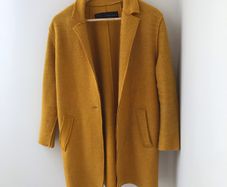 Zara coat