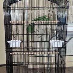 Black bird cage