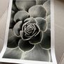 Desenio artwork print sets Image 2