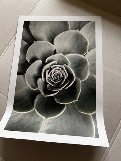 Desenio artwork print sets