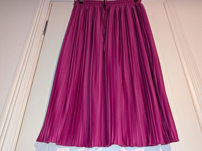 Gorgeous pleated maxi skirt