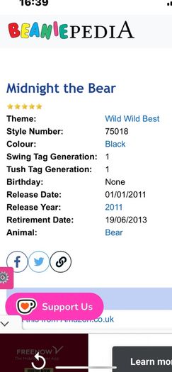 TY Bear Midnight