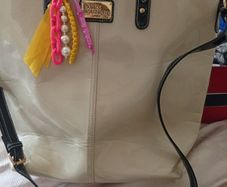 Paul's boutique ladies bag