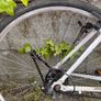 Bikes Image 7