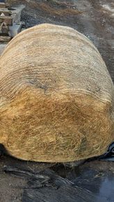 silage top quality