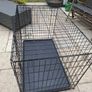 Dog Crate Image 2