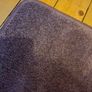 Lilac / Lavender Accent Area Rug (150cm x 97cm) Image 2