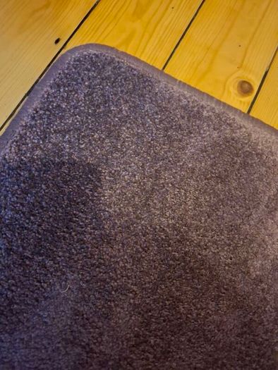 Lilac / Lavender Accent Area Rug (150cm x 97cm)