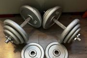 2x19.6kg cast iron spinlock dumbbells