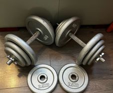 2x19.6kg cast iron spinlock dumbbells