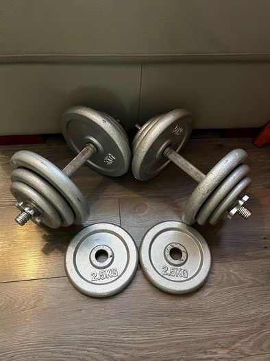 2x19.6kg adjustable cast iron dumbbells